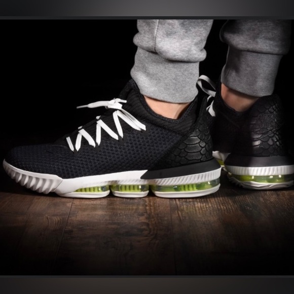 Nike Other - Nike LeBron XVI 16 Low Shoe